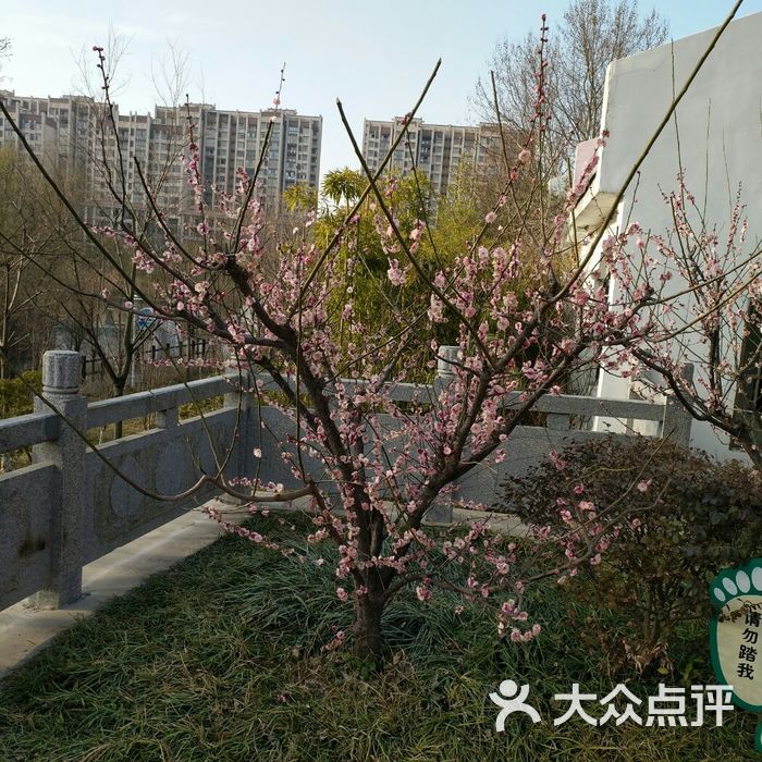 桃花坞图片-北京游乐园-大众点评网