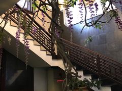-碧丽宫大酒店(召稼楼店)