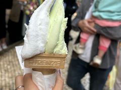 -柠檬车露(卖草地店)