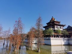 -顺峰山公园