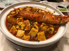 龙虾麻婆豆腐-京华烟云·北京烤鸭(领展购物广场·中关村店)