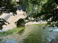 -碑林公园