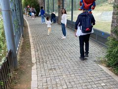 -上方山森林动物世界