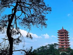 -缙云山景区
