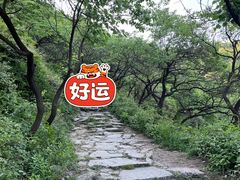 -北京西山国家森林公园