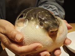 -永安鱼庄·镇江菜(东吴路店)