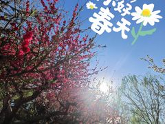 -海棠花溪(元大都城垣遗址公园)
