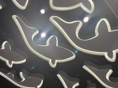 -阿五黄河大鲤鱼(海尚店)