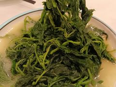 -五谷芳乳鸽王(海景店)