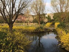 -白马涧龙池景区