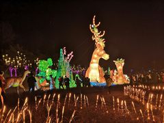 -黄龙溪欢乐田园