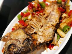 -不炭白烧烤(成都首店)
