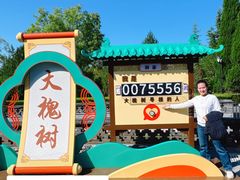 -大槐树寻根祭祖园