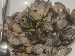 -海派美食·家宴海鲜青岛菜·石锅鲽鱼头(东方城店)