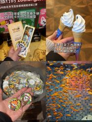 -Zoolung Zoolung动物主题公园(海信广场店)