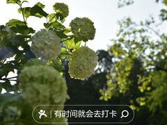 -国家植物园