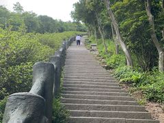 -梧桐山风景名胜区