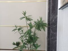 -和康·佳韵酒楼(合信路店)