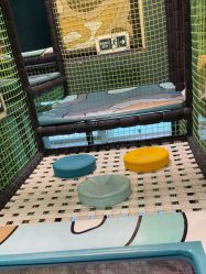 点击看大图 -MELAND CLUB亲子乐园·派对·餐厅(北京芳圆里ID MALL店)