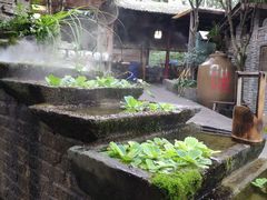 -青城甲(青城山店)