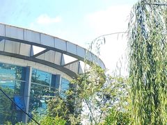 -世纪缘国际会议中心·中餐厅(百家湖店)