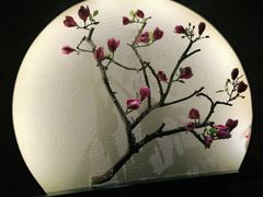 -大桶大足浴(周浦店)