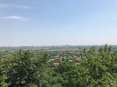 -上海佘山国家森林公园西佘山园