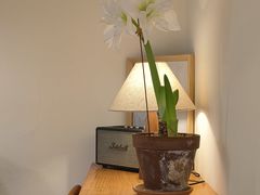 -本無咖啡·BeanWood Coffee