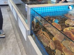-大锅强·蒸海鲜青岛菜(城市阳台店)