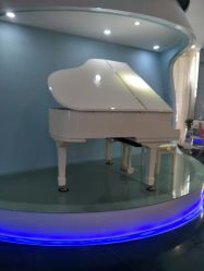 -比华利美容医院