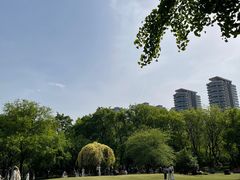 -渭滨公园
