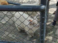 -长白岛森林公园