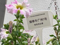 -北园酒家(小北路店)