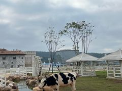 -华谊兄弟（长沙）电影小镇