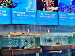 -圣爵菲斯大酒店(长沙世界之窗店)