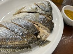 -长平肥姐白粥·海鲜打冷