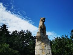 -帽儿山国家森林公园