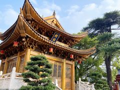 -上海东林寺(金山区)