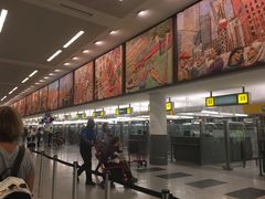 -约翰·菲茨杰拉德·肯尼迪国际机场