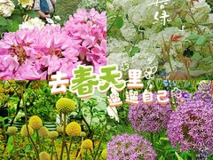 -深圳仙湖植物园
