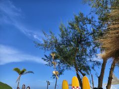 -西涌国际滨海旅游区