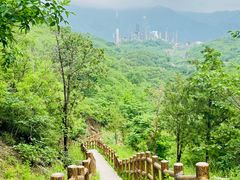 -白水寺森林公园