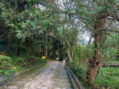 -冶父山国家森林公园