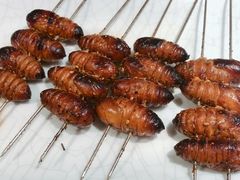 -森龍邑·烧烤·海鲜·炒菜(闽江路店)
