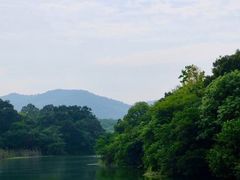 -佛手湖郊野公园