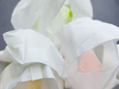 -奈雪的茶(大梅沙8号仓店)