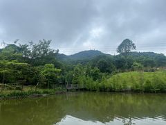 -广州市帽峰山景区
