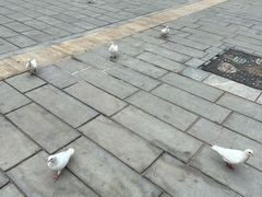 -华谊兄弟（长沙）电影小镇