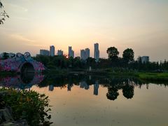 -映月湖公园