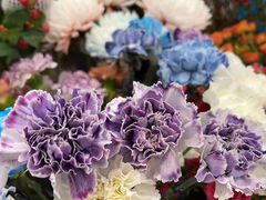 -花辰月夕花坊(北滨路店)